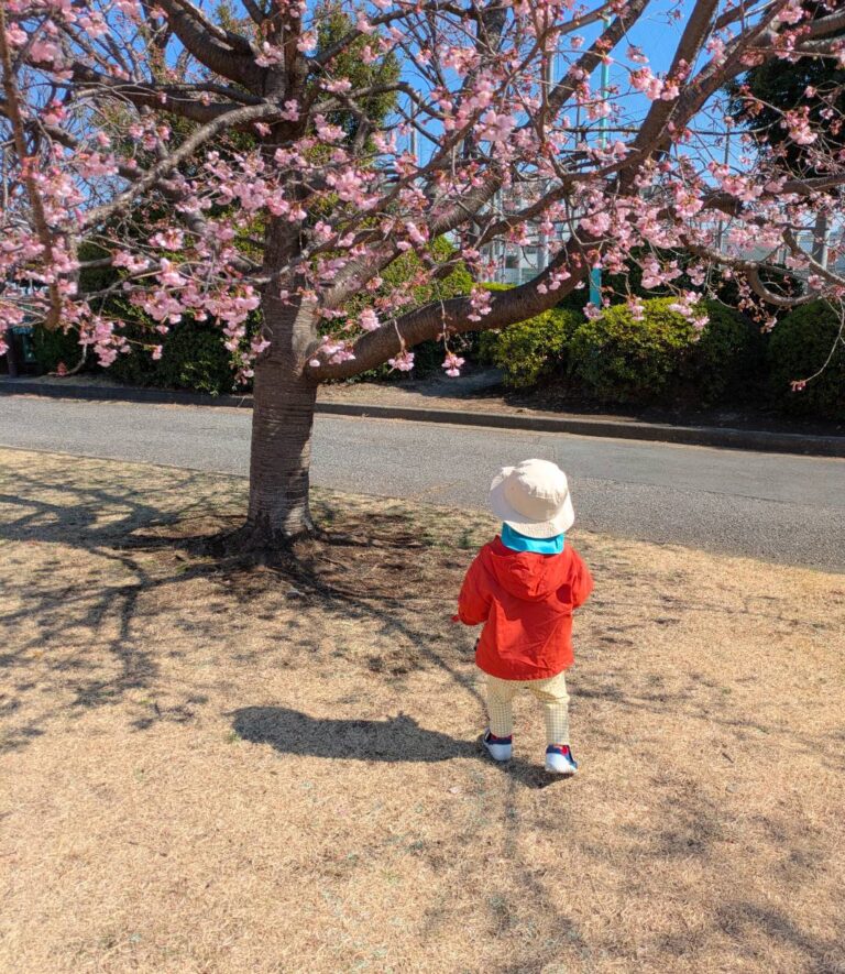 Welcome to Everyday Japan Life